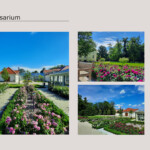 Rosarium po remoncie